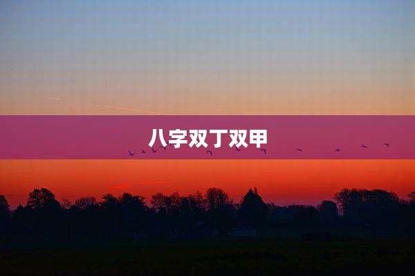 八字双丁双甲