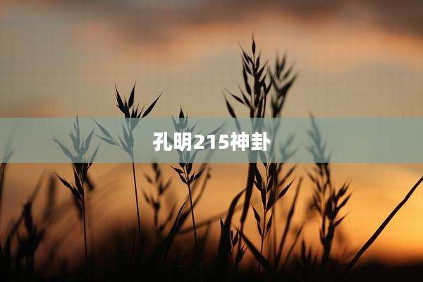 孔明215神卦