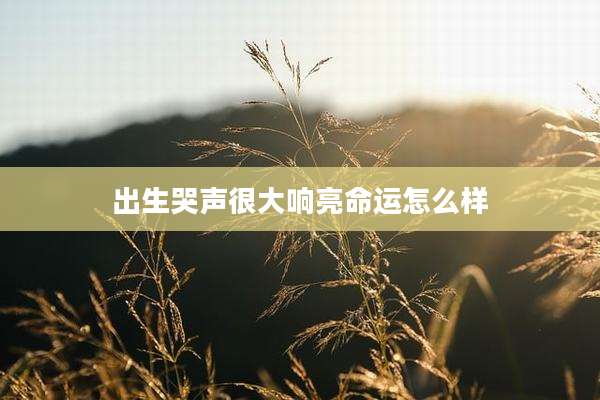 出生哭声很大响亮命运怎么样