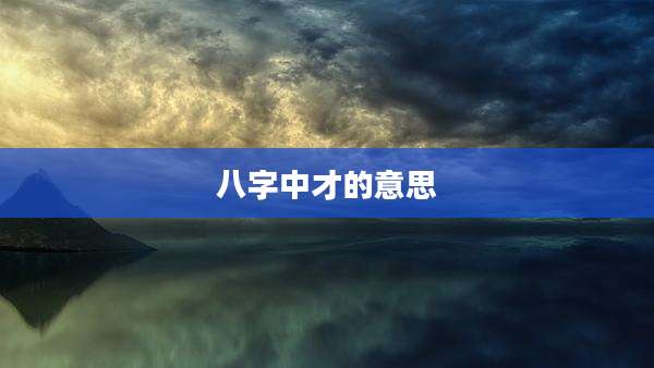 八字中才的意思