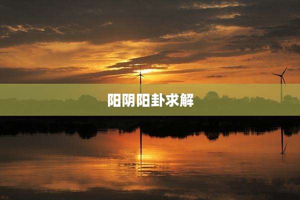 阳阴阳卦求解