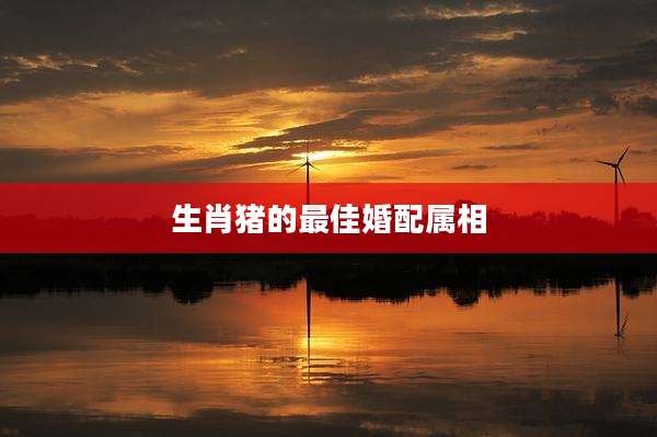 生肖猪的最佳婚配属相