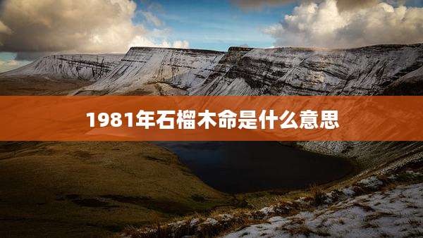 1981年石榴木命是什么意思