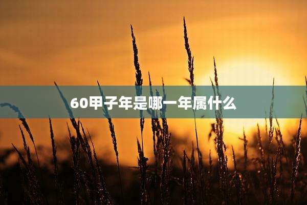 60甲子年是哪一年属什么