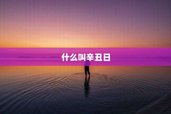 什么叫辛丑日