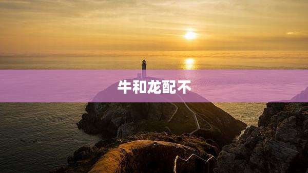 牛和龙配不