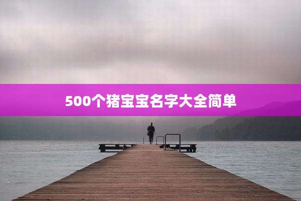 500个猪宝宝名字大全简单