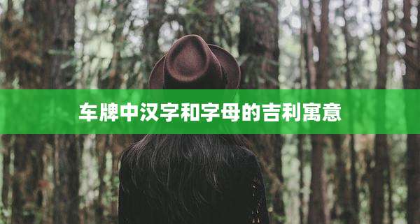 车牌中汉字和字母的吉利寓意