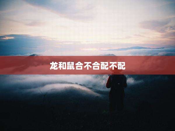 龙和鼠合不合配不配