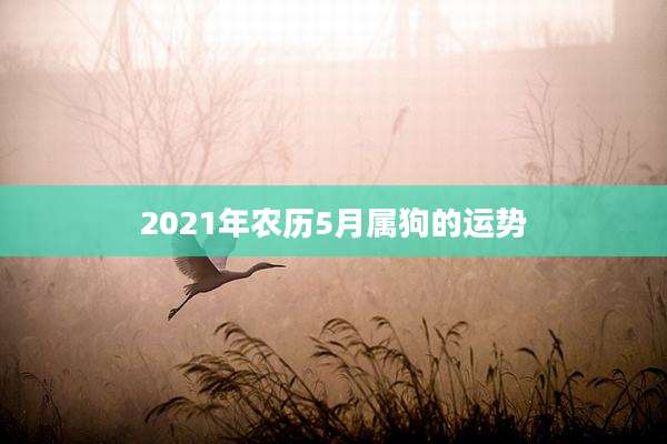 2021年农历5月属狗的运势