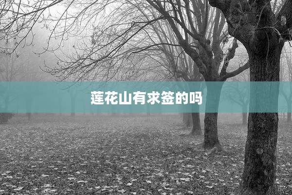 莲花山有求签的吗