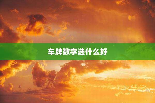 车牌数字选什么好