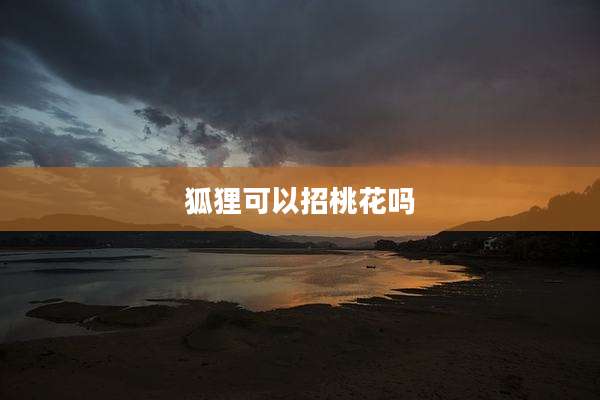 狐狸可以招桃花吗