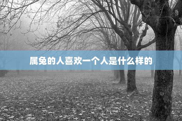 属兔的人喜欢一个人是什么样的