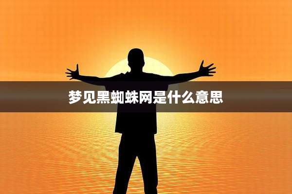 梦见黑蜘蛛网是什么意思