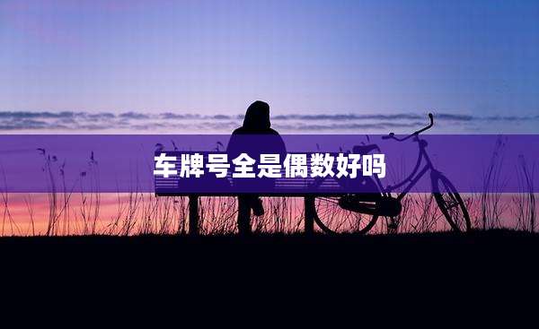 车牌号全是偶数好吗
