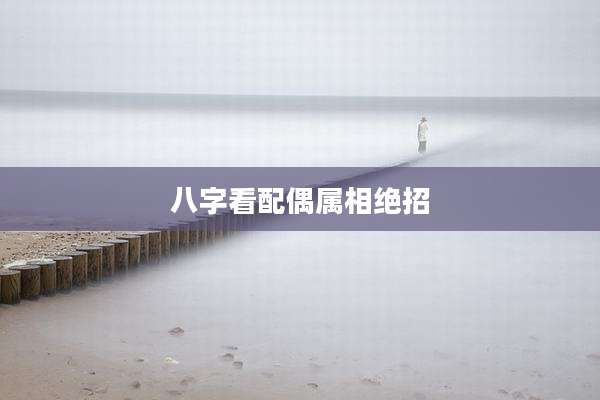 八字看配偶属相绝招