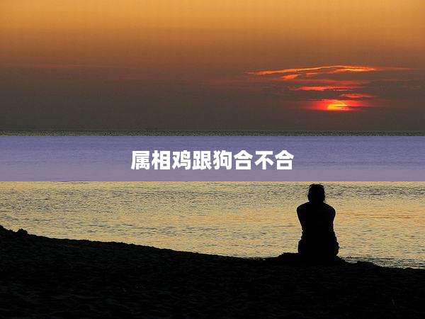 属相鸡跟狗合不合