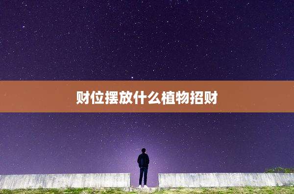 财位摆放什么植物招财