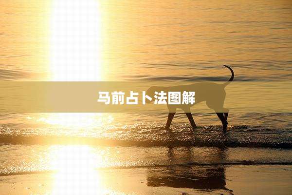 马前占卜法图解