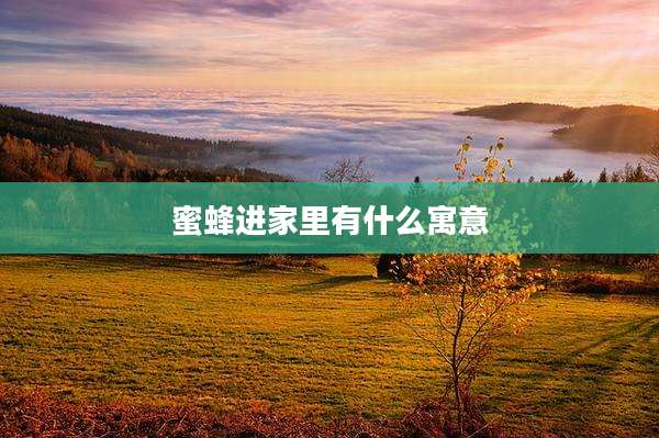 蜜蜂进家里有什么寓意