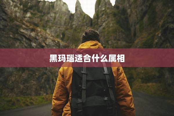 黑玛瑙适合什么属相