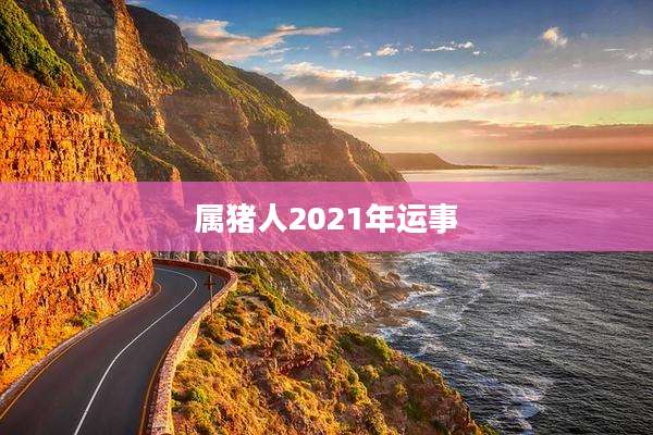 属猪人2021年运事
