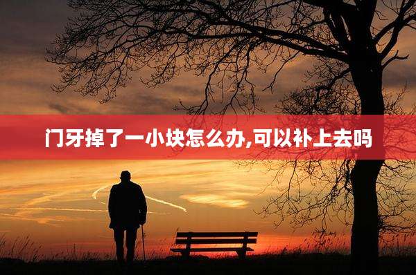 门牙掉了一小块怎么办,可以补上去吗