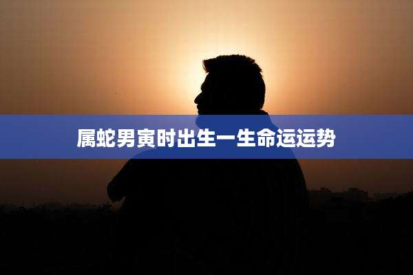 属蛇男寅时出生一生命运运势