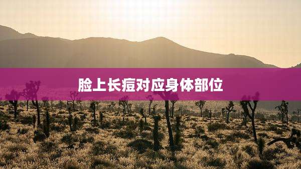 脸上长痘对应身体部位