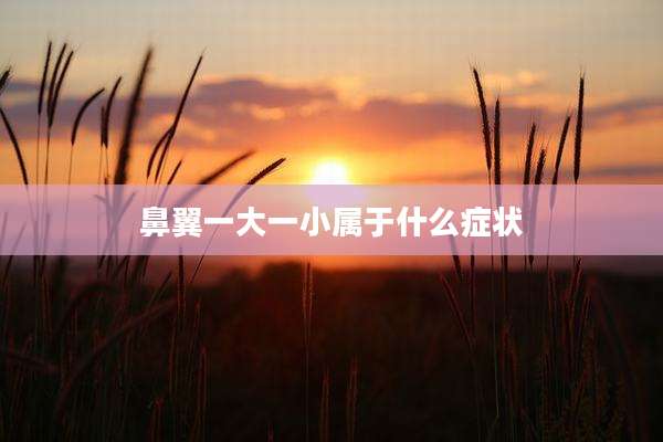 鼻翼一大一小属于什么症状