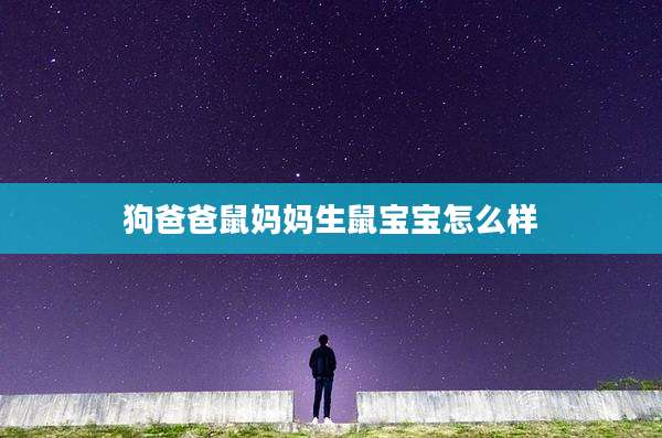 狗爸爸鼠妈妈生鼠宝宝怎么样