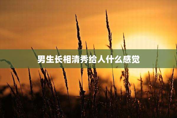 男生长相清秀给人什么感觉