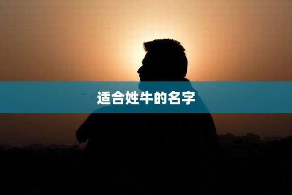 适合姓牛的名字