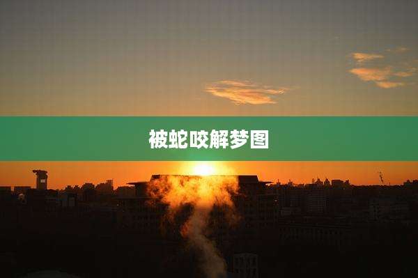 被蛇咬解梦图