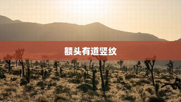 额头有道竖纹