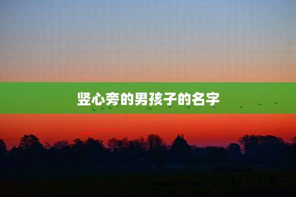 竖心旁的男孩子的名字