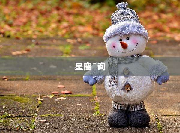 星座査询