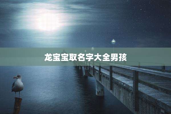 龙宝宝取名字大全男孩