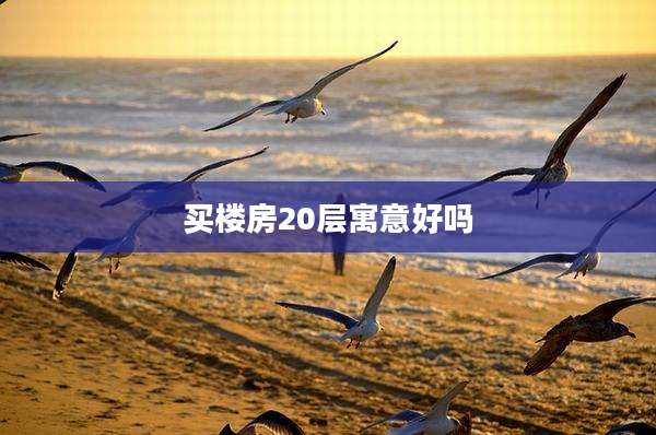 买楼房20层寓意好吗