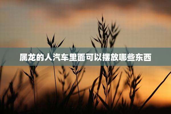 属龙的人汽车里面可以摆放哪些东西