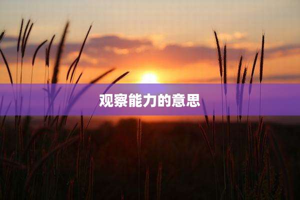 观察能力的意思