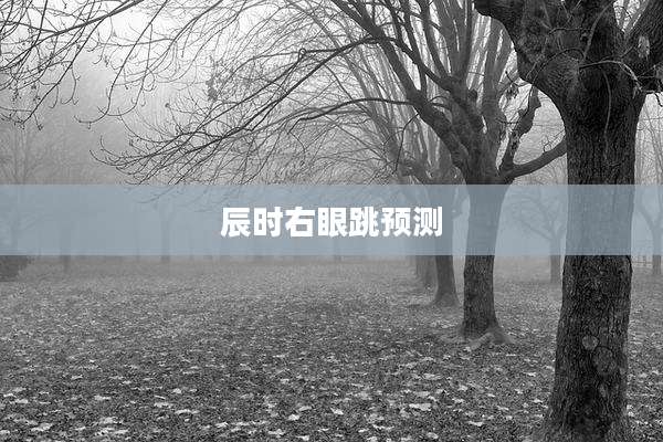 辰时右眼跳预测