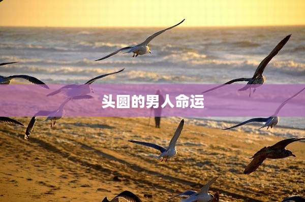 头圆的男人命运