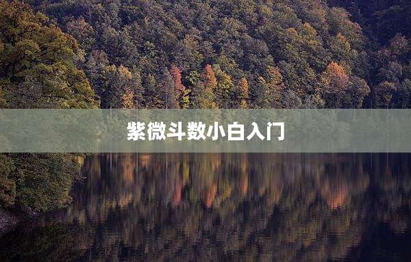 紫微斗数小白入门