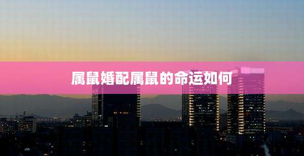 属鼠婚配属鼠的命运如何