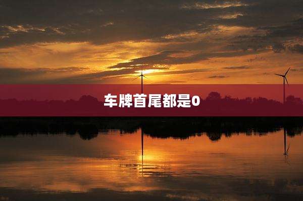 车牌首尾都是0