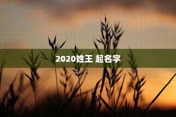 2020姓王 起名字