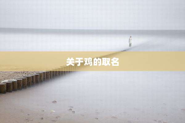 关于鸡的取名
