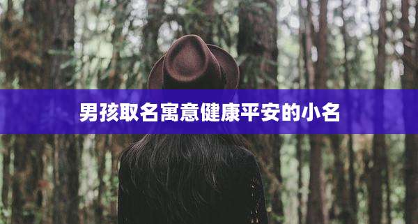 男孩取名寓意健康平安的小名